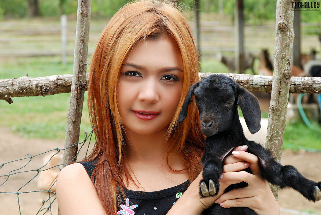 [The Black Alley] Vanessa Cho Little Black Sheep Cute Girl