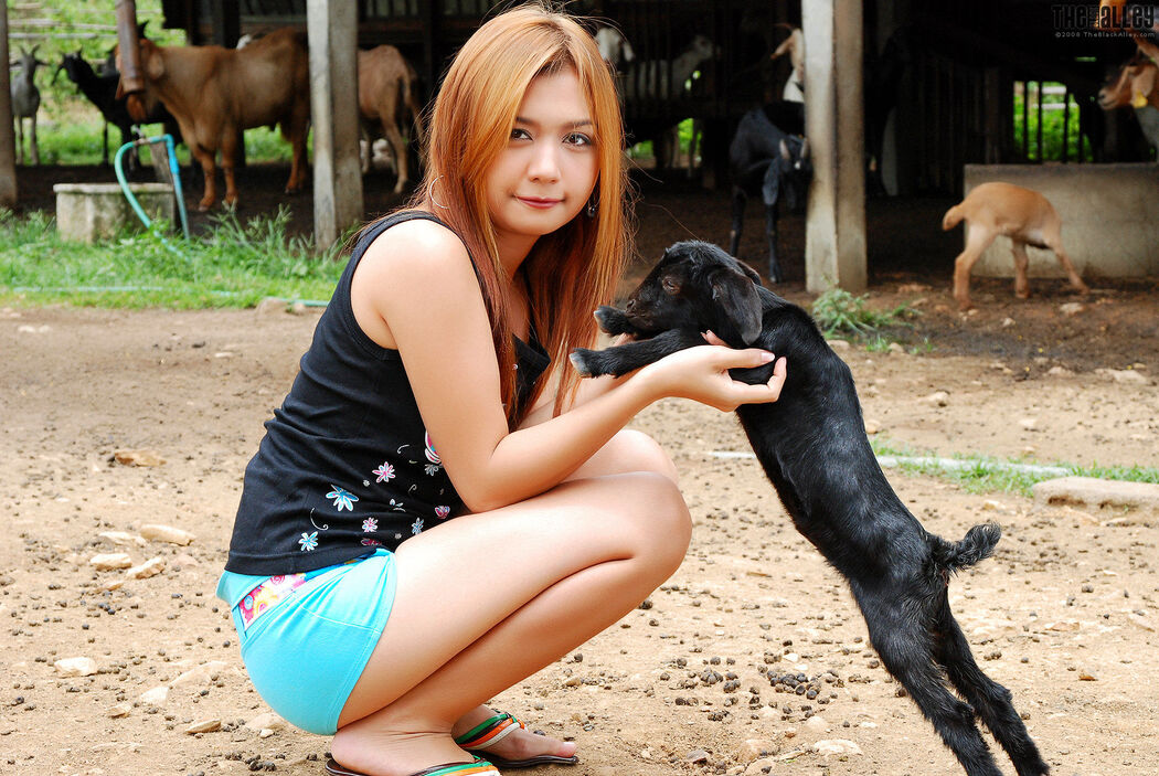 [The Black Alley] Vanessa Cho Little Black Sheep Cute Girl