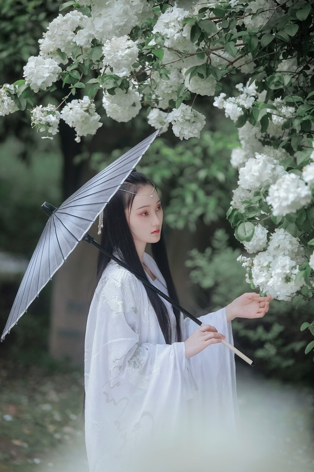 YiTuYu艺图语 Vol.1674 Yun Zhi Shi Xiao Hu Li Ya