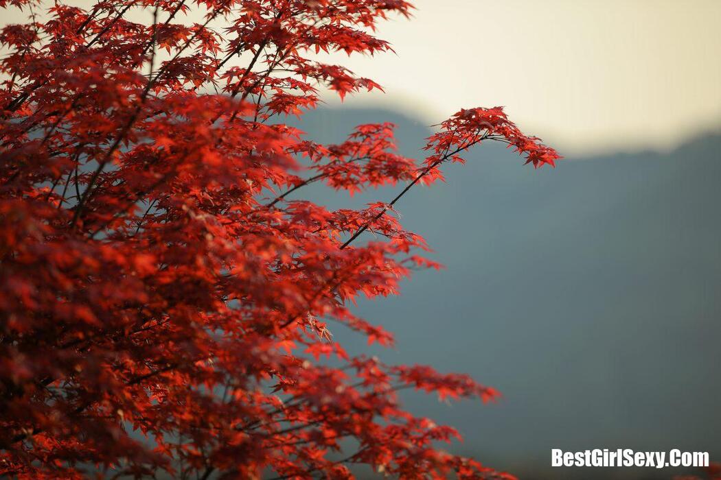 YiTuYu艺图语 Vol.169 Ji Xiang Xiang