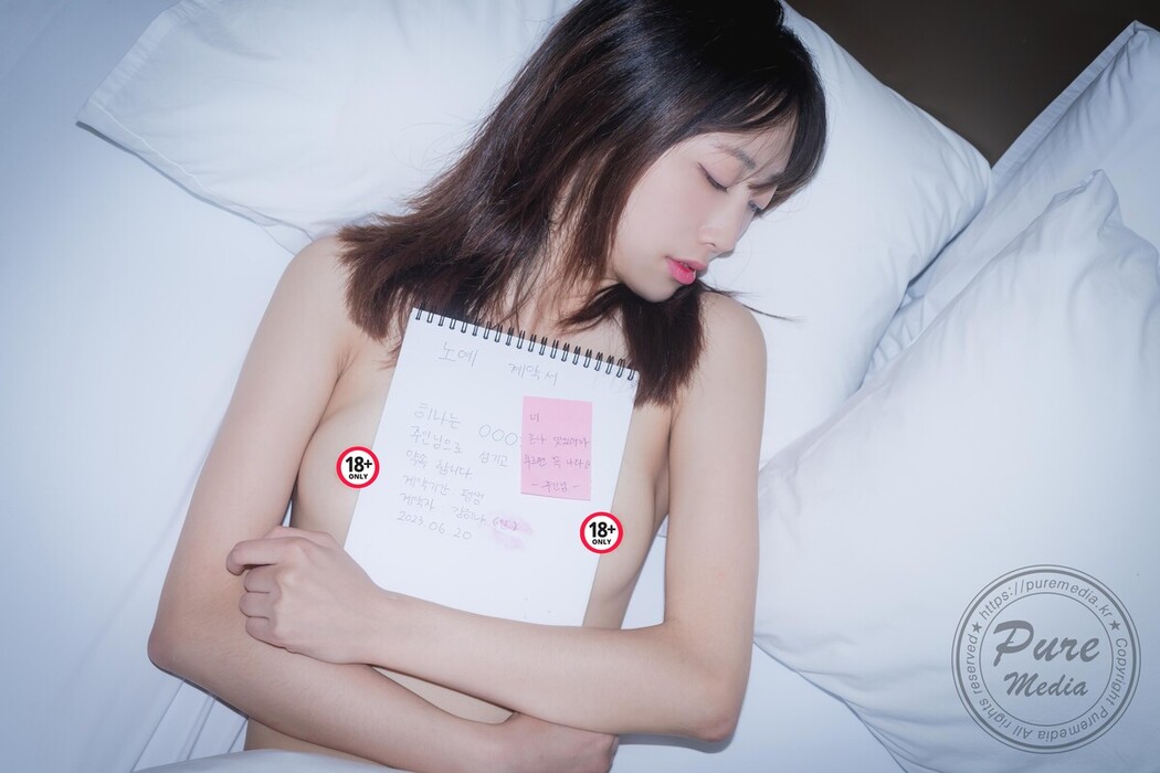 PureMedia Vol.245 Hina 히나 Pure Gradoll B
