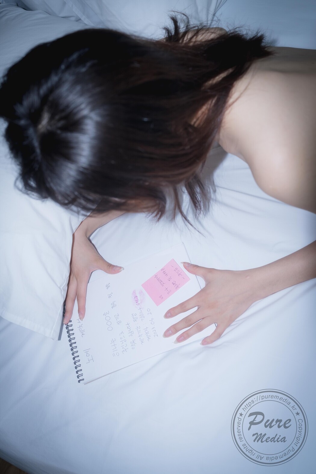 PureMedia Vol.245 Hina 히나 Pure Gradoll B