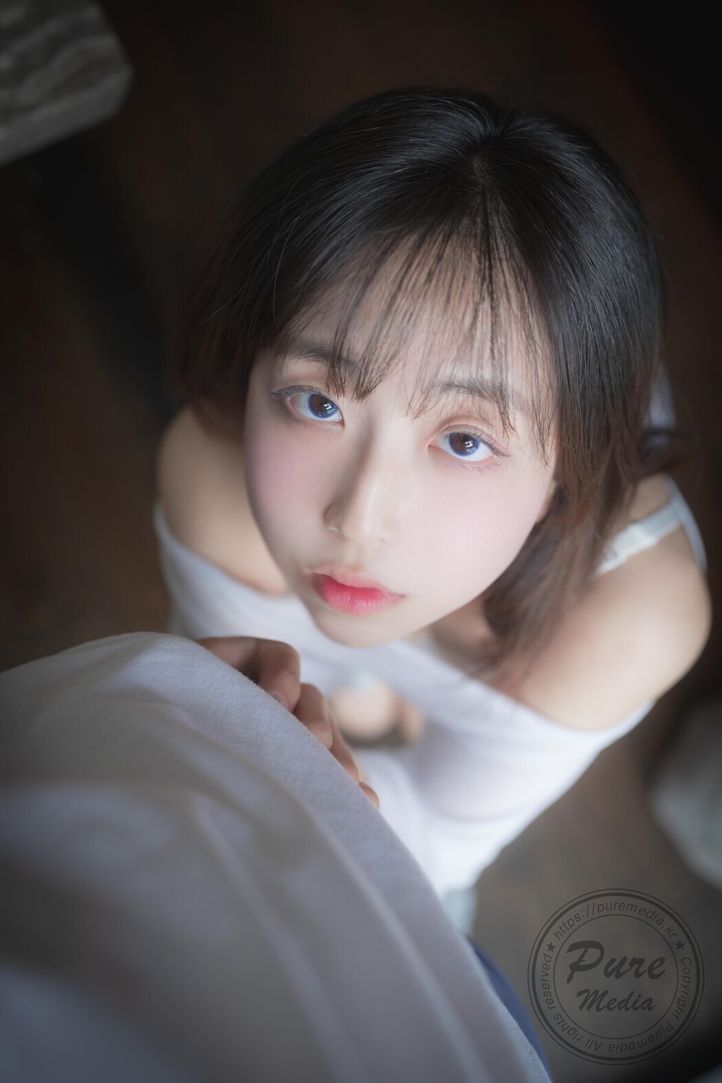 PureMedia Vol.245 Hina 히나 Pure Gradoll A