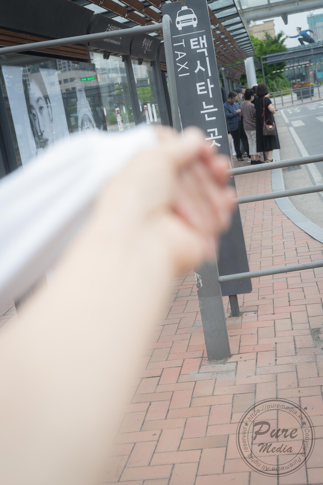 PureMedia Vol.245 Hina 히나 Pure Gradoll A