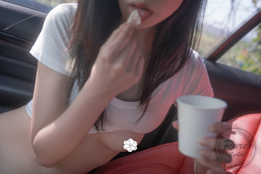 PureMedia Vol.294 Hina 히나 – Secret Meeting Part2