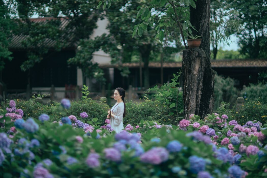 YiTuYu艺图语 Vol.2013 Miao Yan