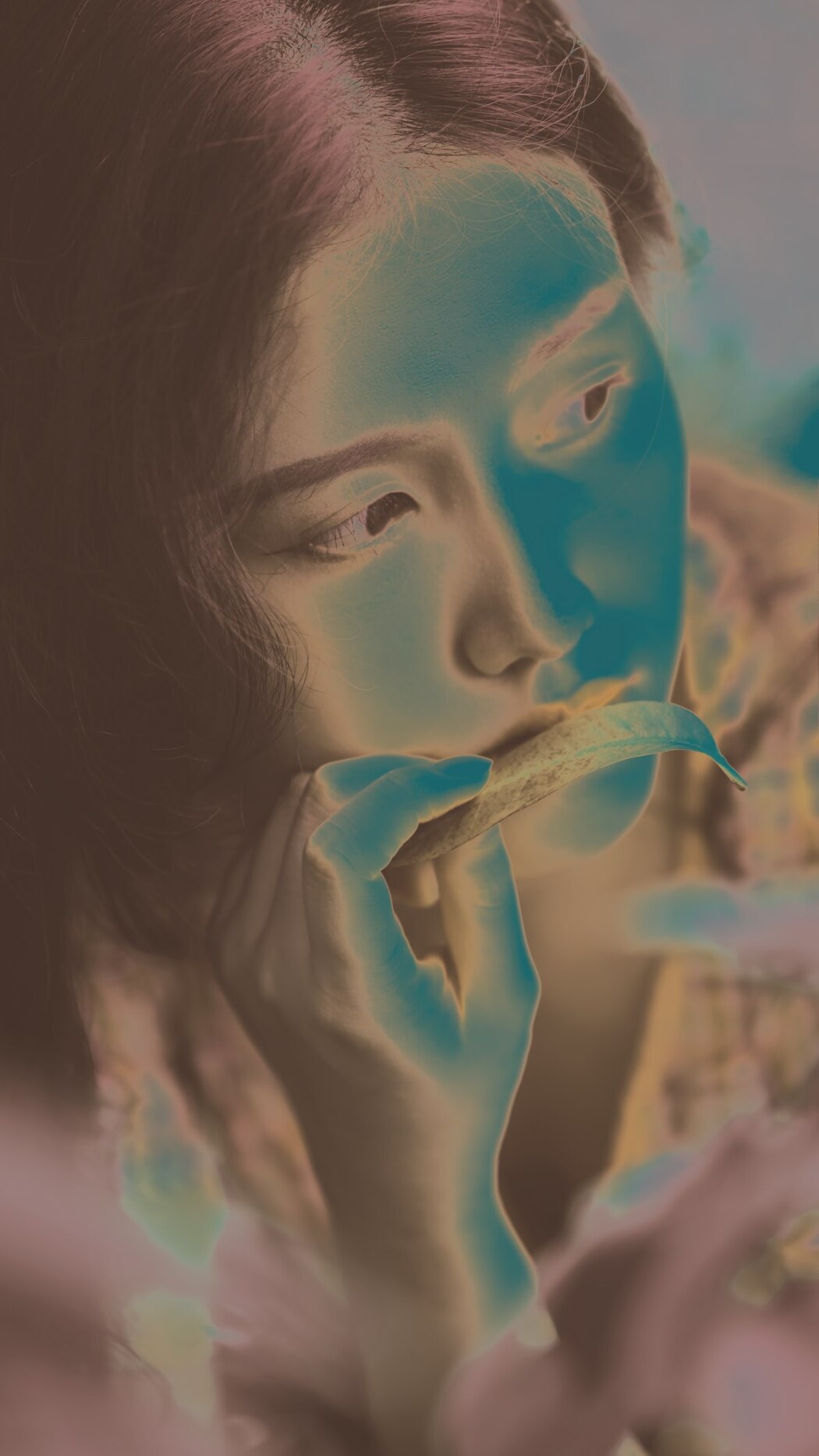 YiTuYu艺图语 Vol.2016 Yi Zhi Zhuo Zhuo