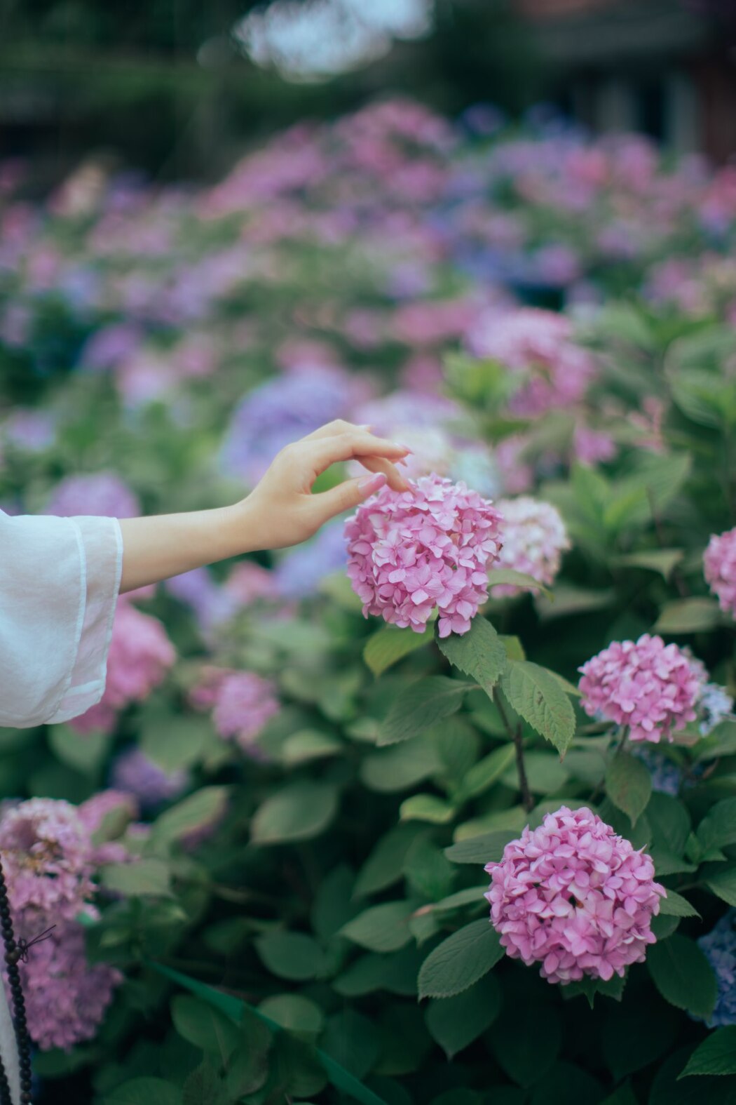YiTuYu艺图语 Vol.2013 Miao Yan