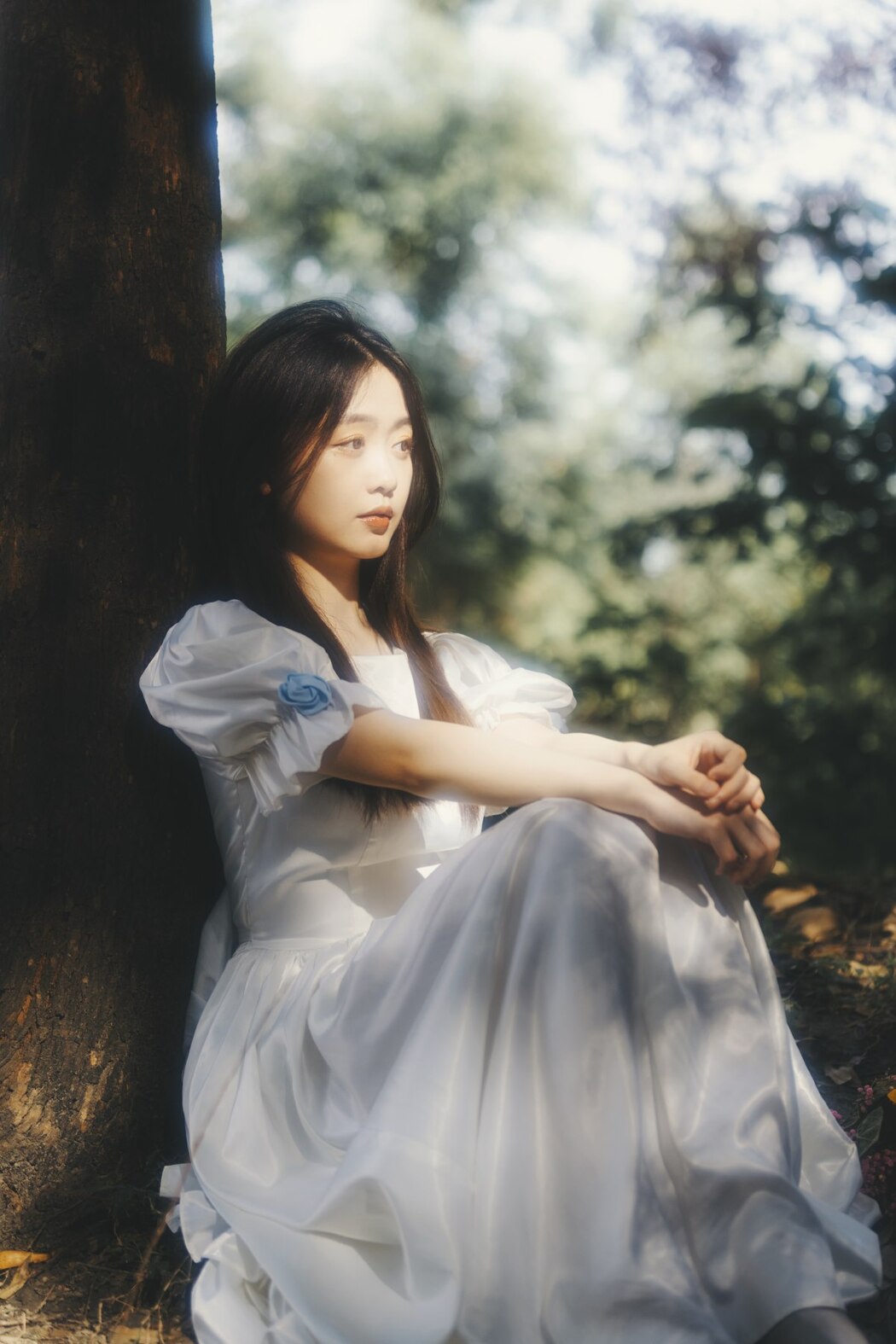 YiTuYu艺图语 Vol.2081 Dai Tou Fei Niao