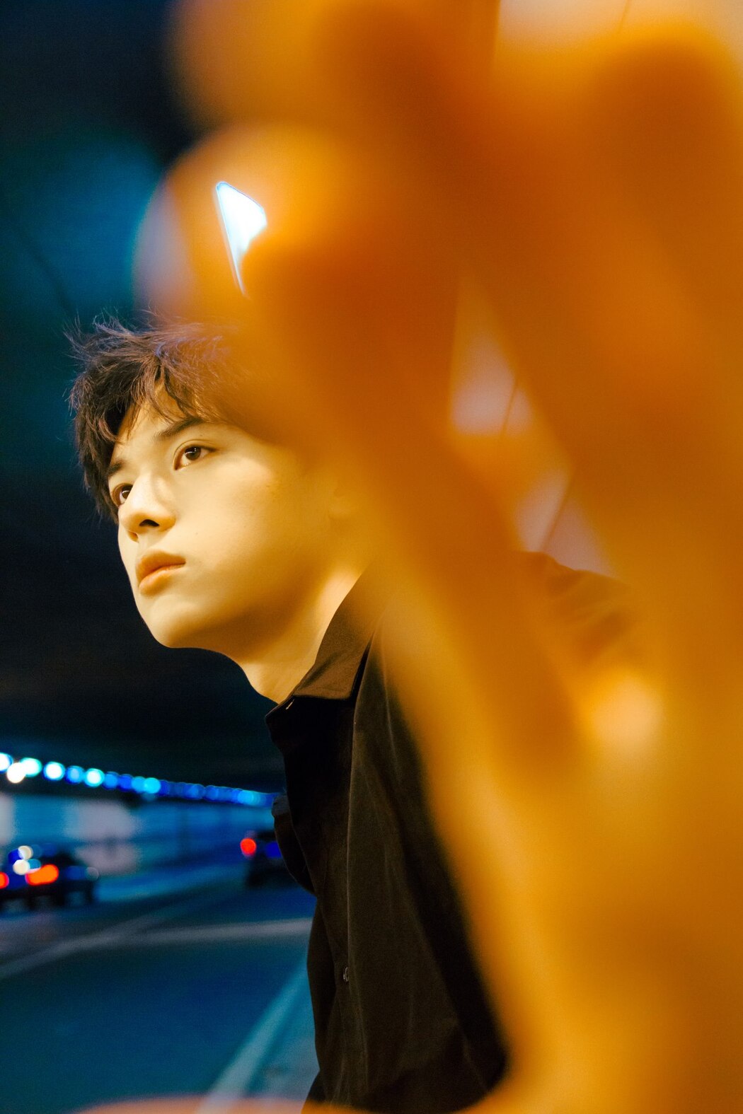 YiTuYu艺图语 Vol.2115 Huo Long Long Long Wang