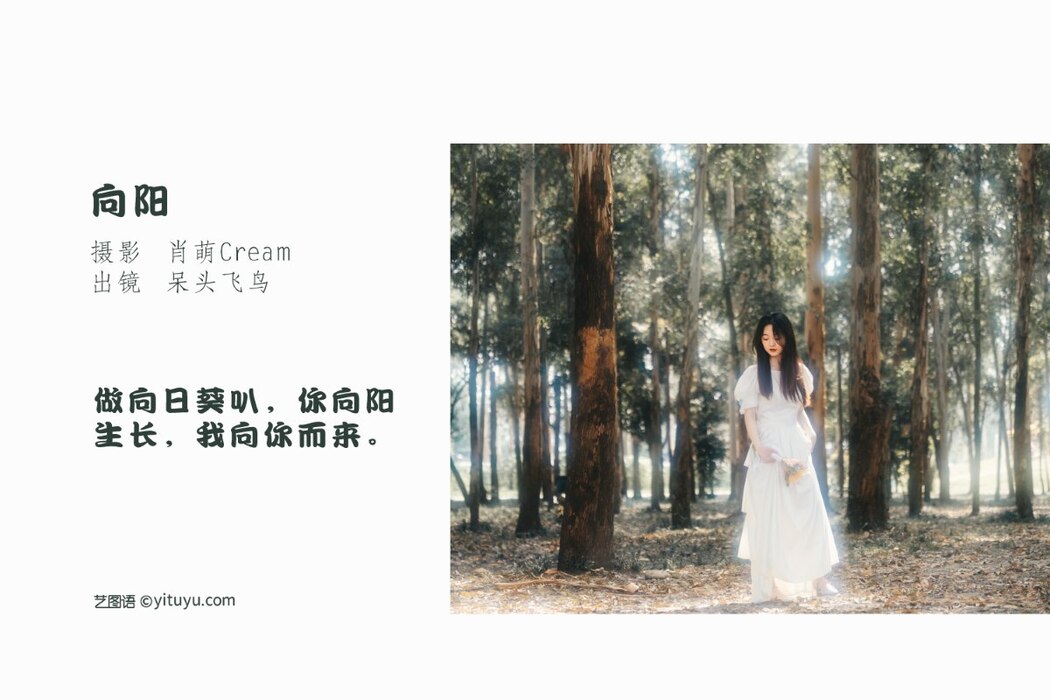 YiTuYu艺图语 Vol.2081 Dai Tou Fei Niao