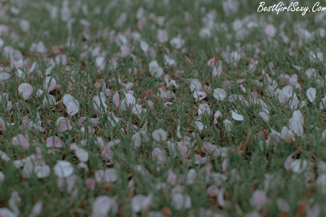 YiTuYu艺图语 Vol.221 Tang Xi Xi