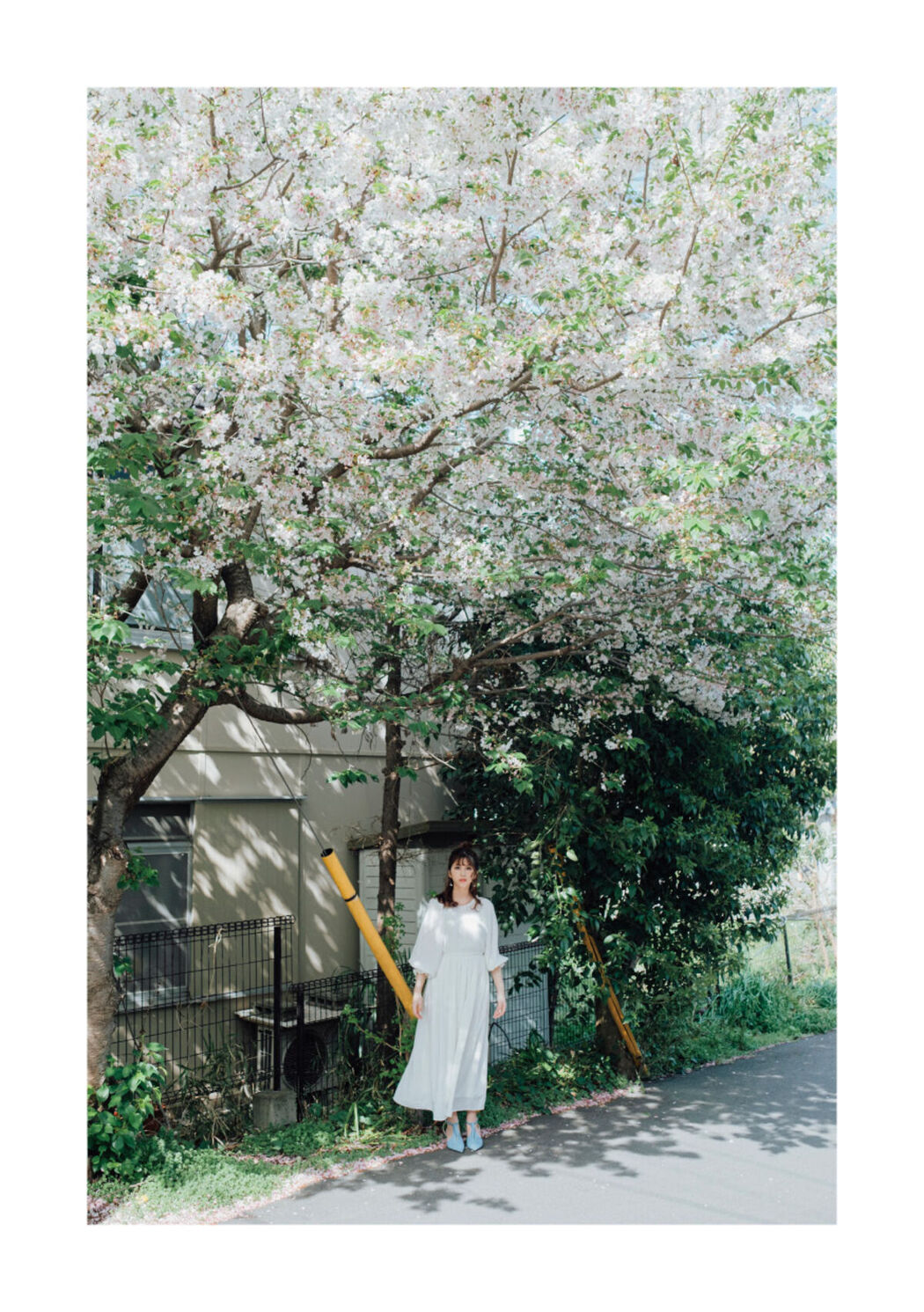 Digital Photo Book Nanatsumori Riri 七ツ森りり – Tranceretinal