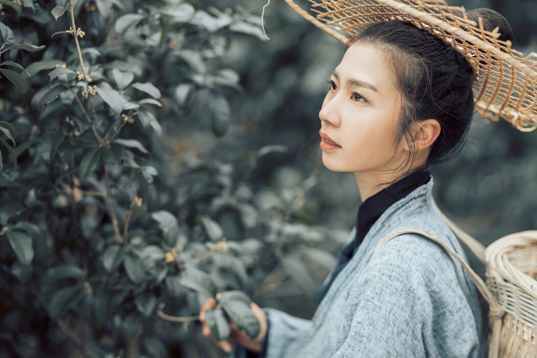 YiTuYu艺图语 Vol.2321 Jun Xin Lan