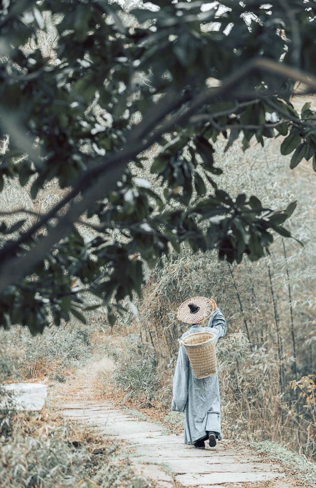 YiTuYu艺图语 Vol.2321 Jun Xin Lan