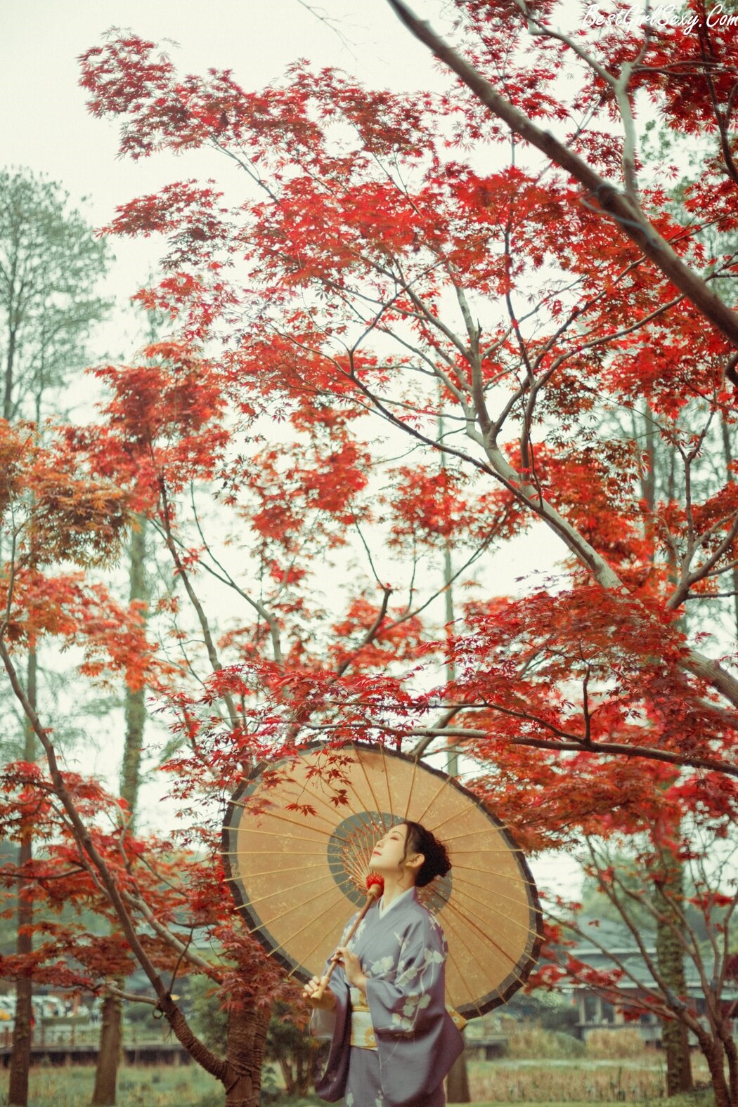 YiTuYu艺图语 Vol.240 Mei Fan Nao