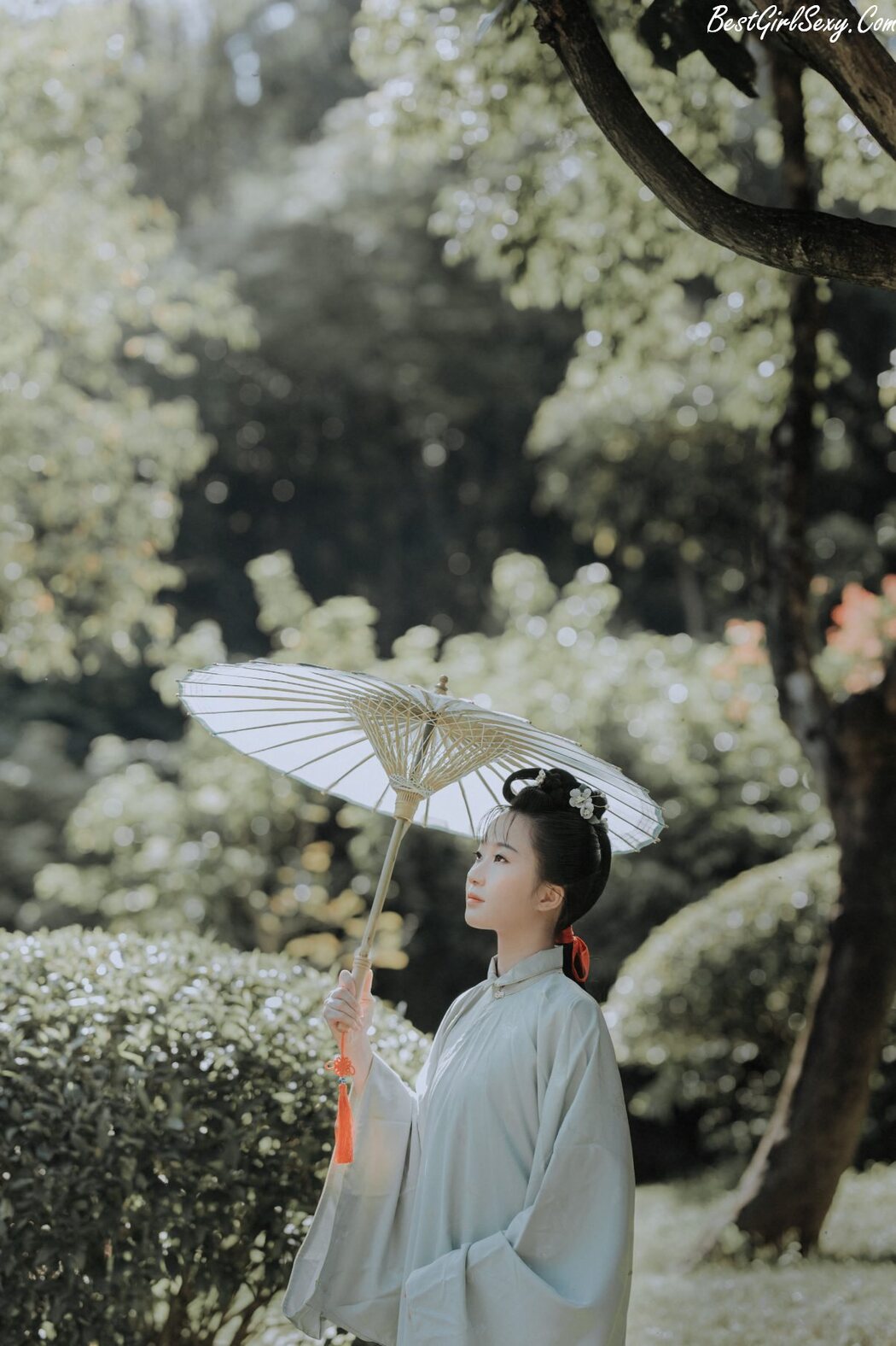 YiTuYu艺图语 Vol.243 Fan Lu