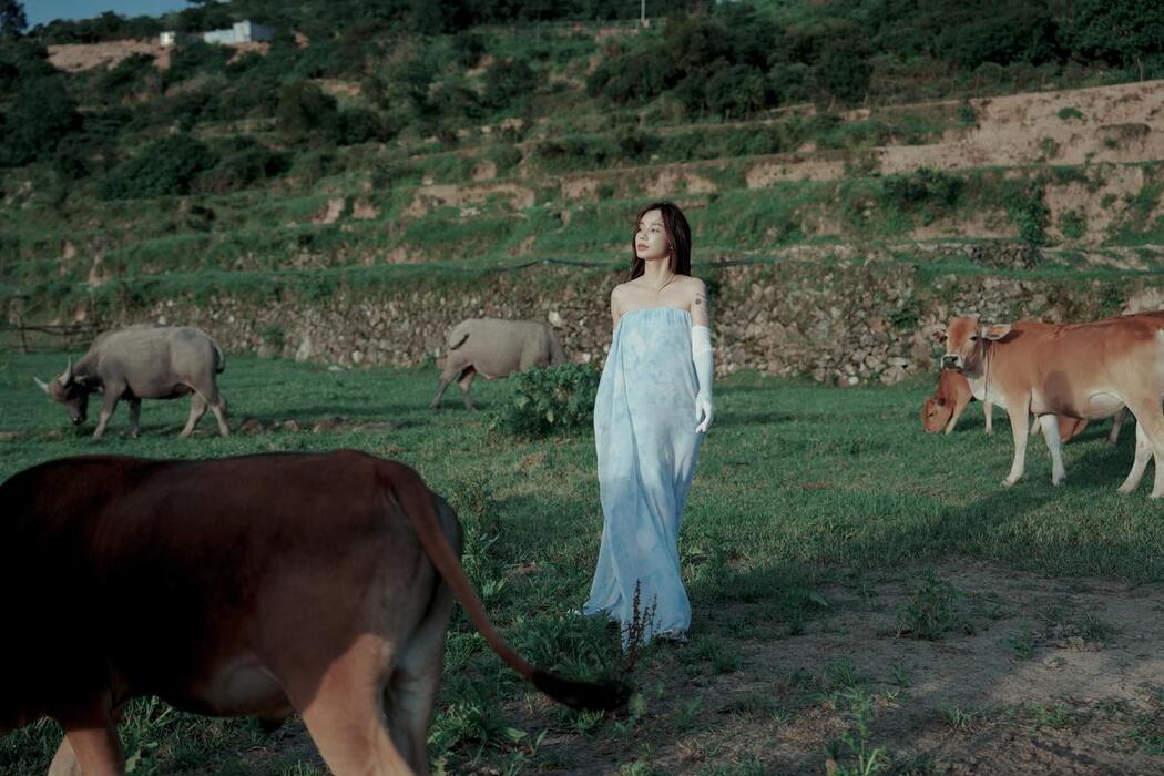 YiTuYu艺图语 Vol.2489 Shu Wen Tong Xue