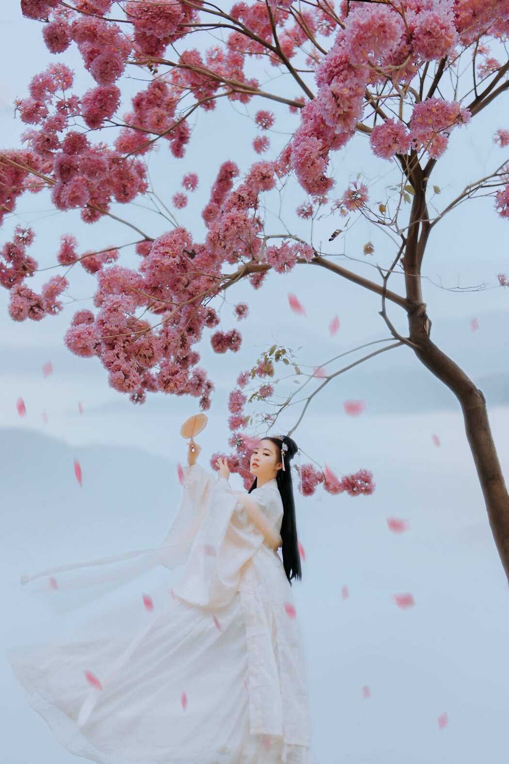 YiTuYu艺图语 Vol.263 Ping Guo Da Ren