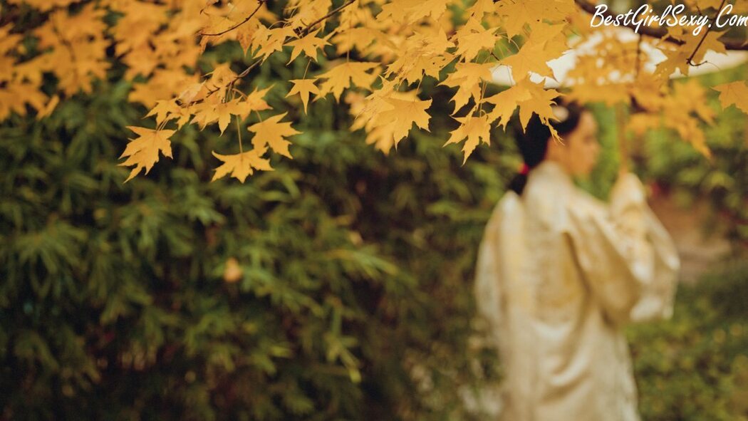 YiTuYu艺图语 Vol.249 Feng You Wei