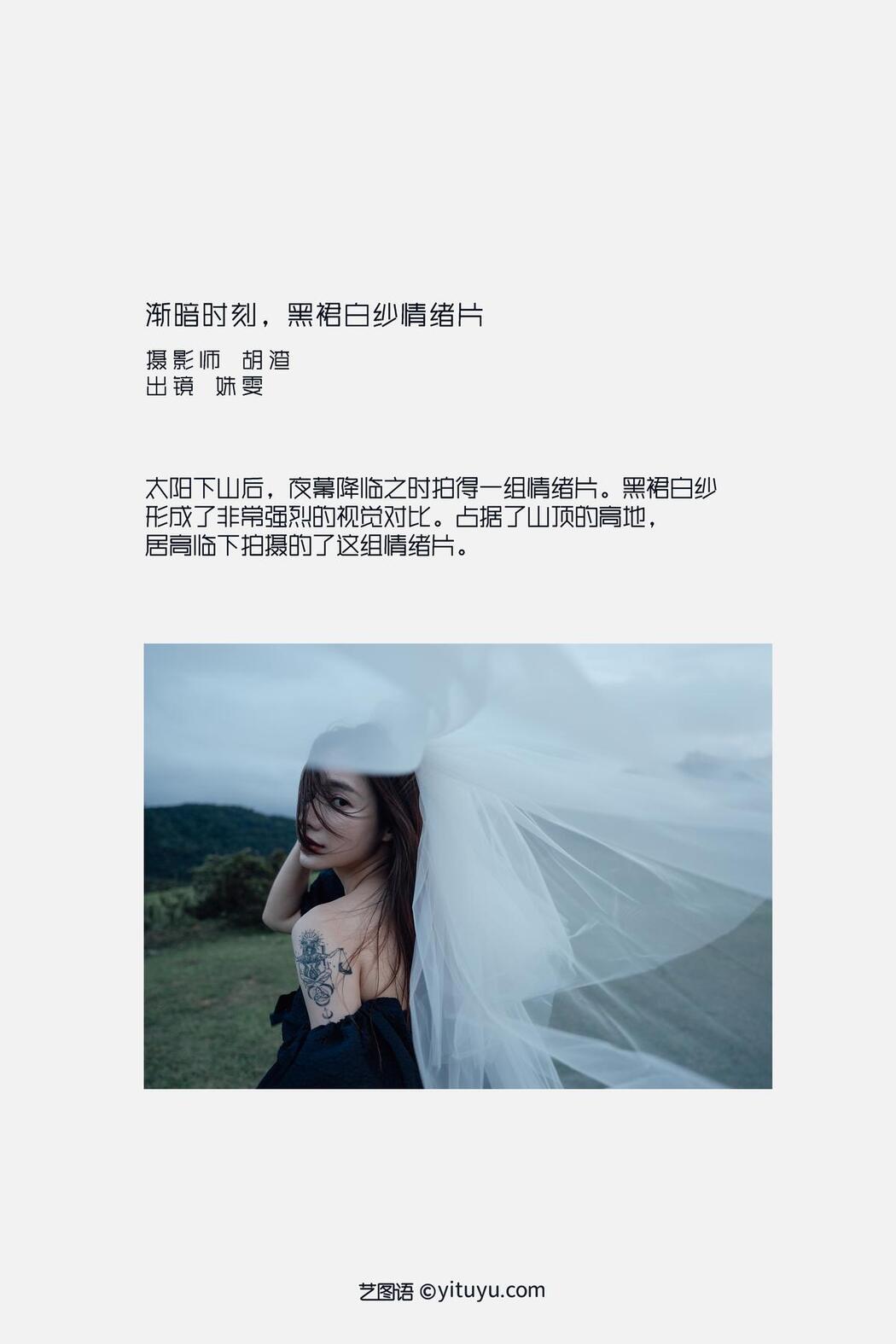 YiTuYu艺图语 Vol.2500 Shu Wen Tong Xue