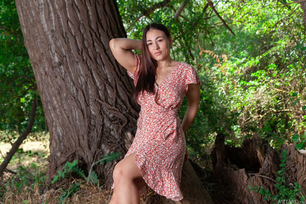 MetArt Sumiko – Summer Dress Part1