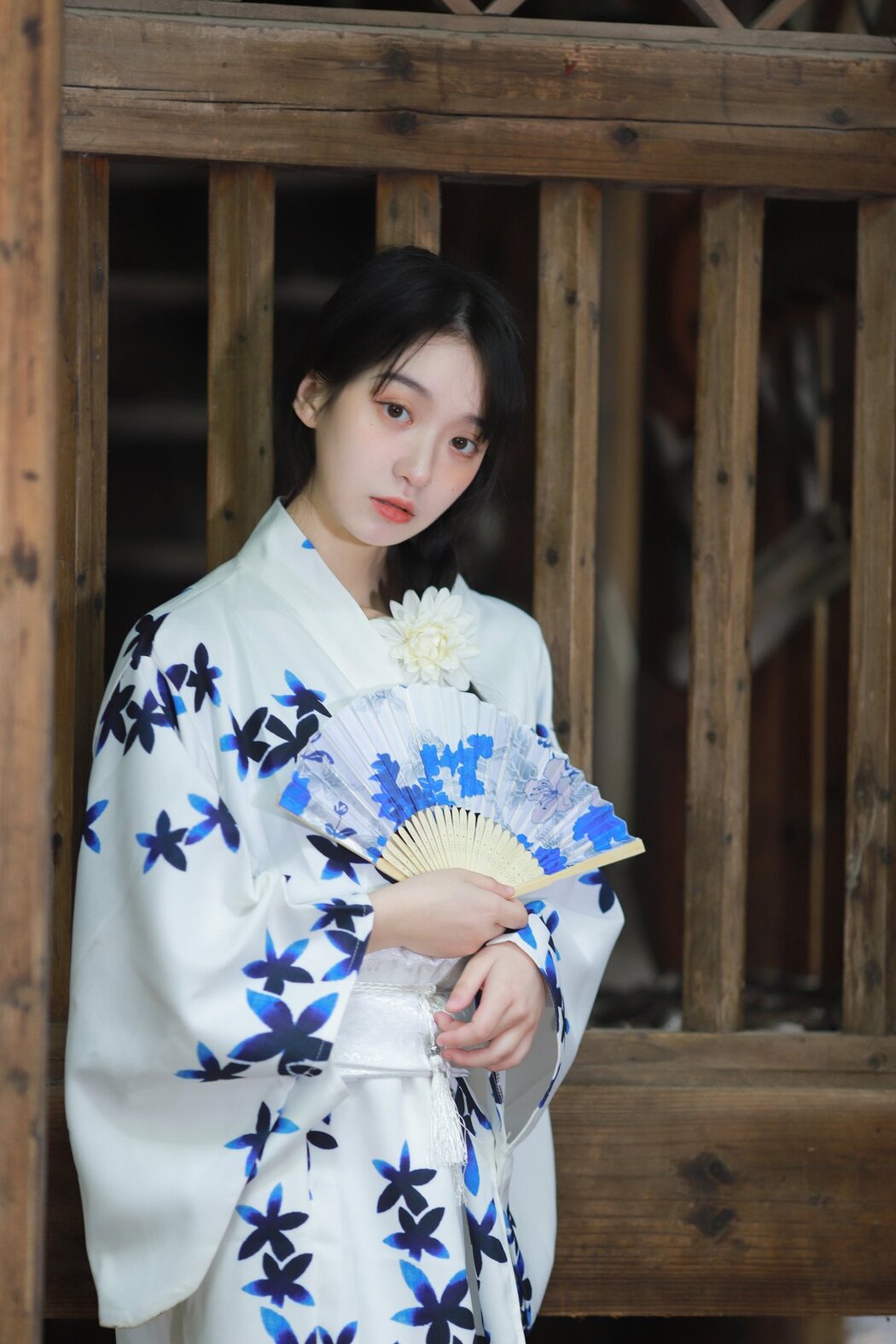 YiTuYu艺图语 Vol.2667 Cat Rui Rui Zi