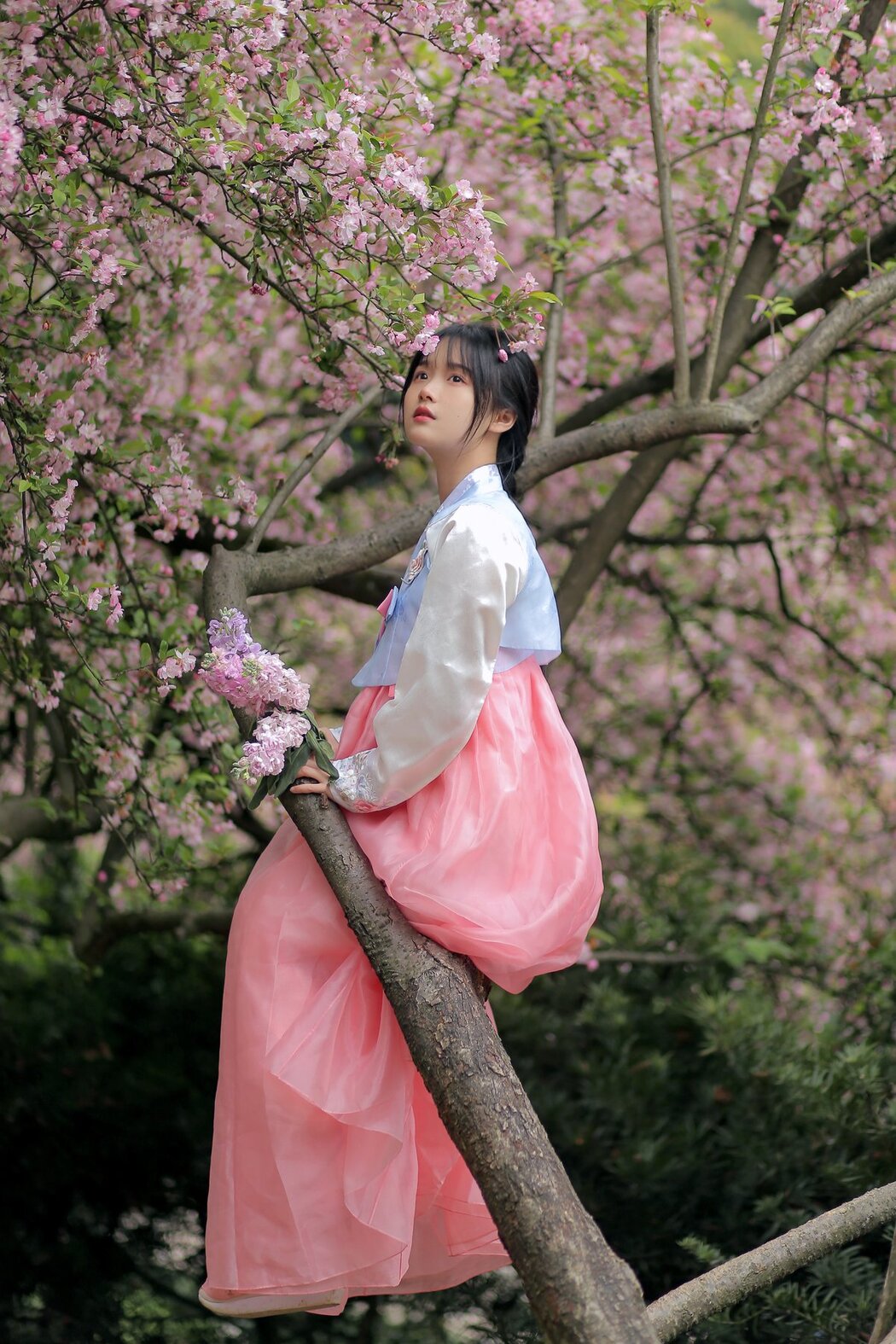 YiTuYu艺图语 Vol.2644 Zhi Chun He