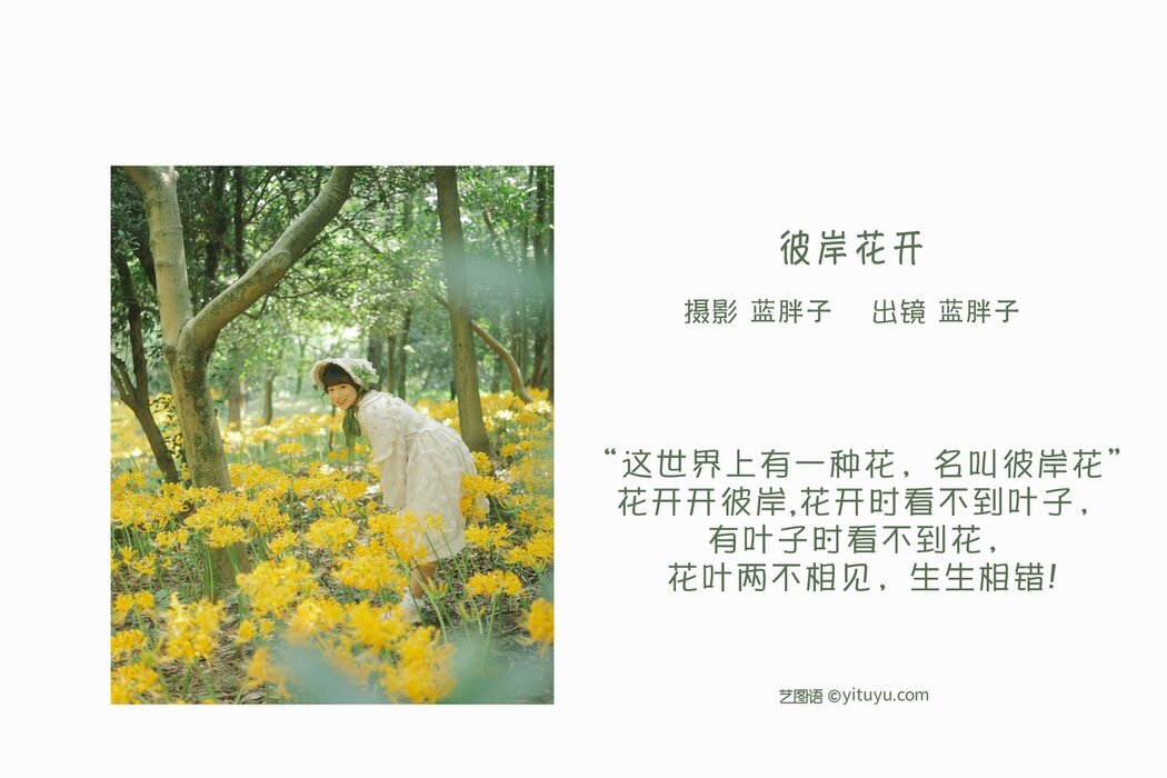 YiTuYu艺图语 Vol.2643 Lan Pang Zi
