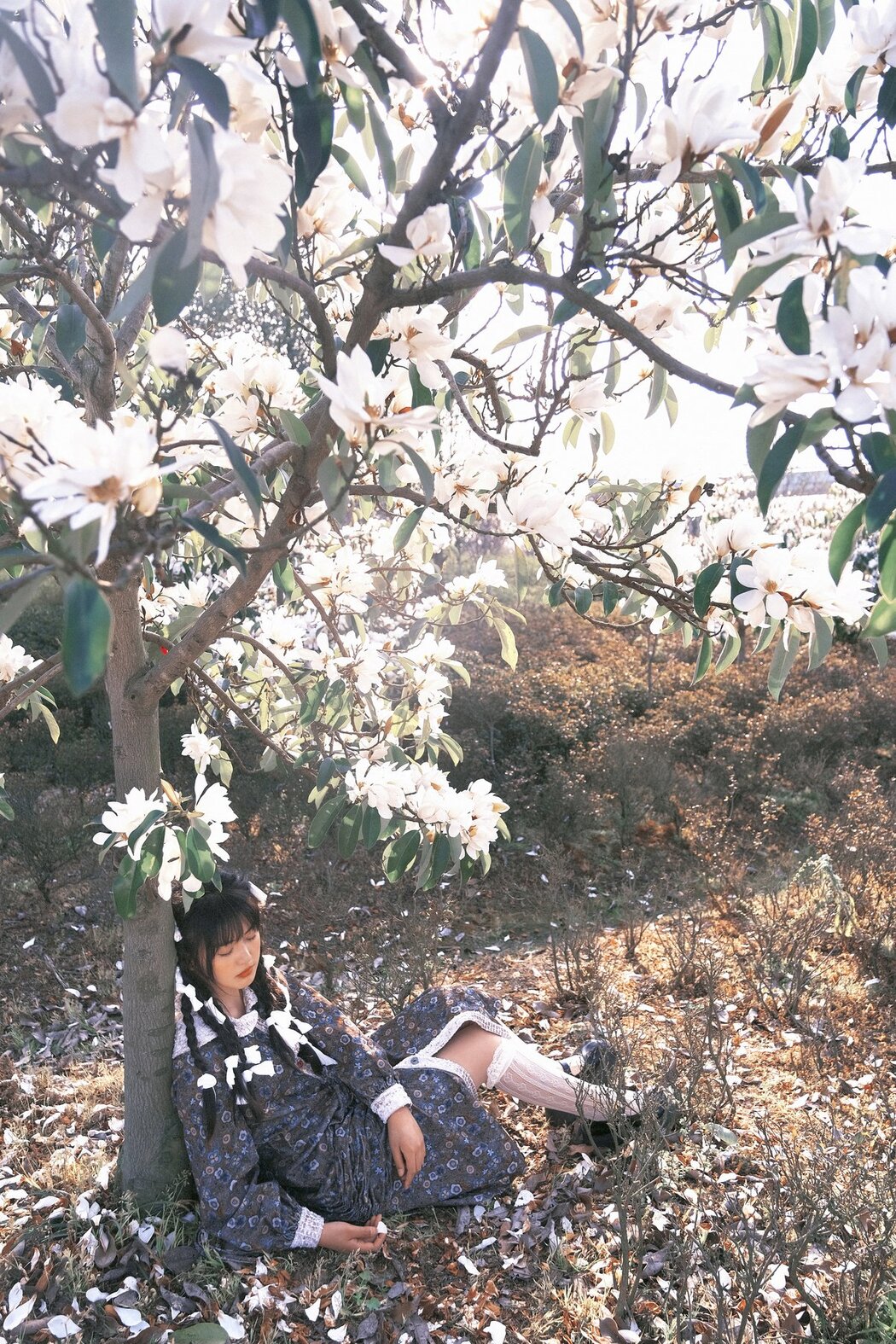 YiTuYu艺图语 Vol.2723 Bao Mao Mian Yang