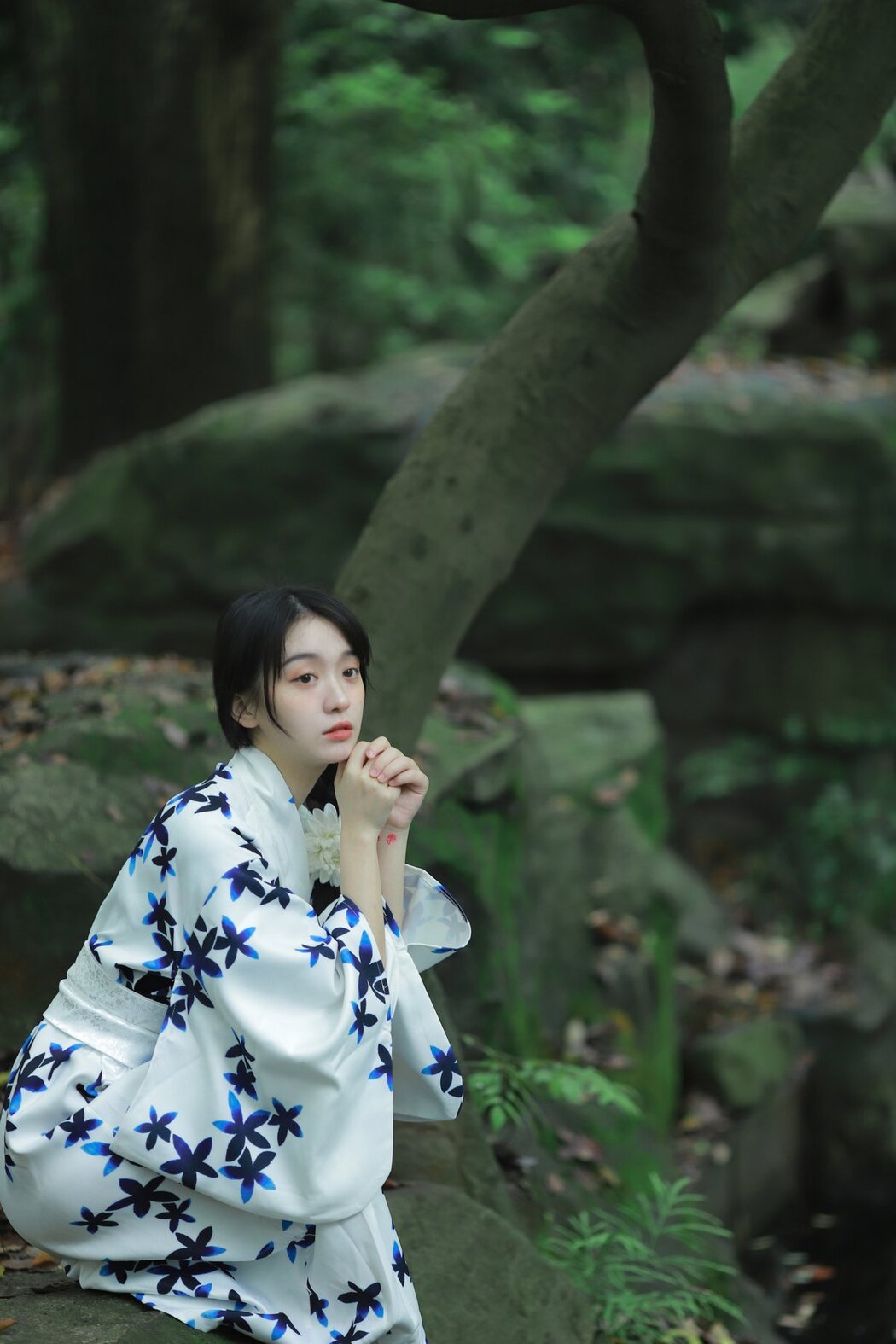YiTuYu艺图语 Vol.2667 Cat Rui Rui Zi