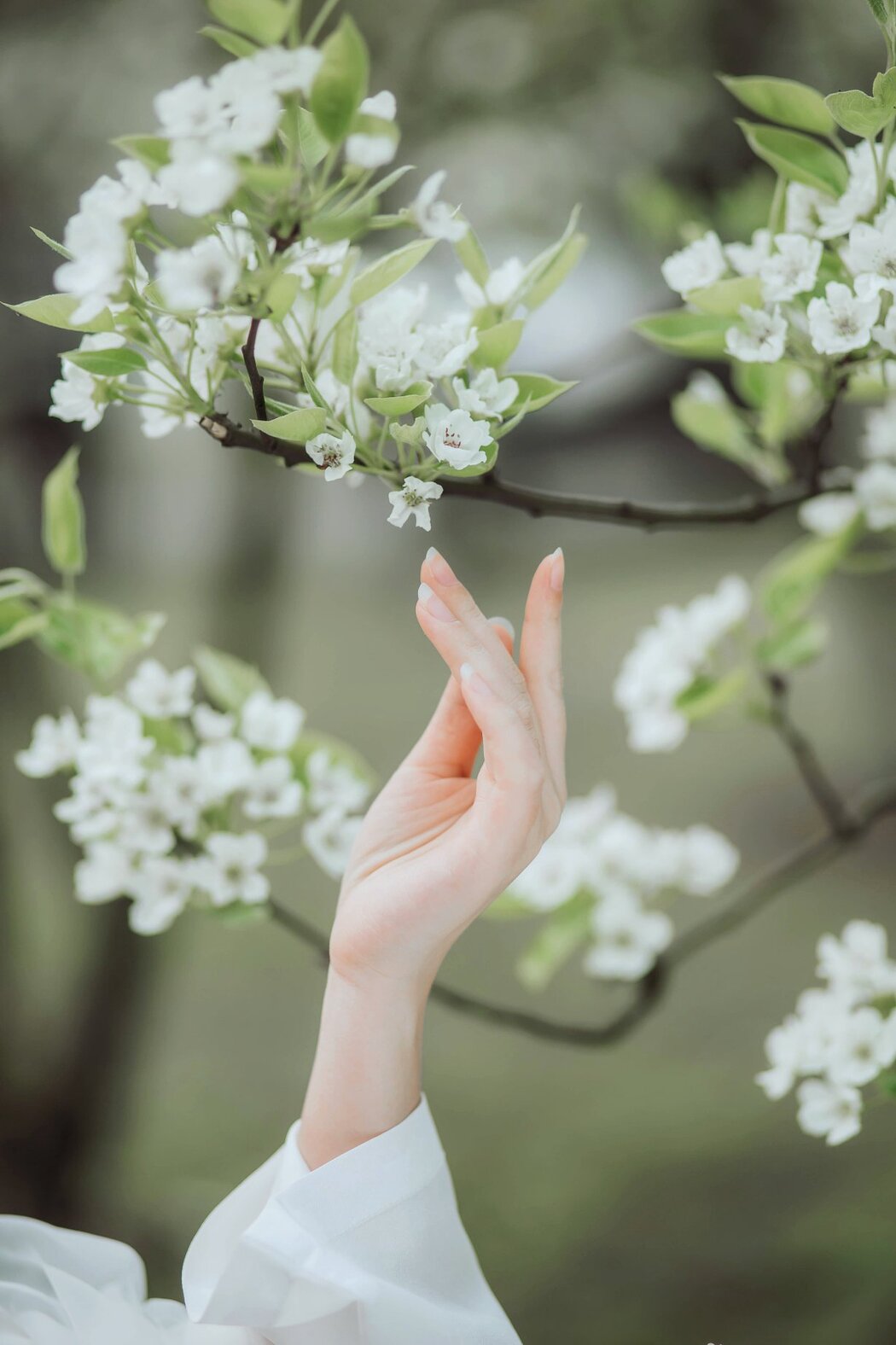 YiTuYu艺图语 Vol.278 Xiao Wen Nuan