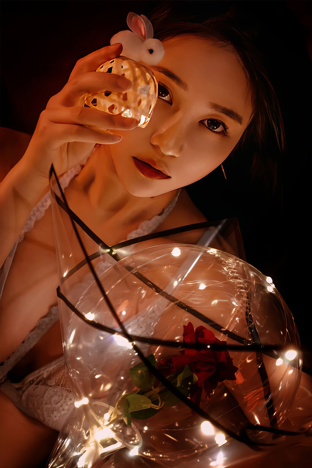 年年Nnian, 写真集 叶红