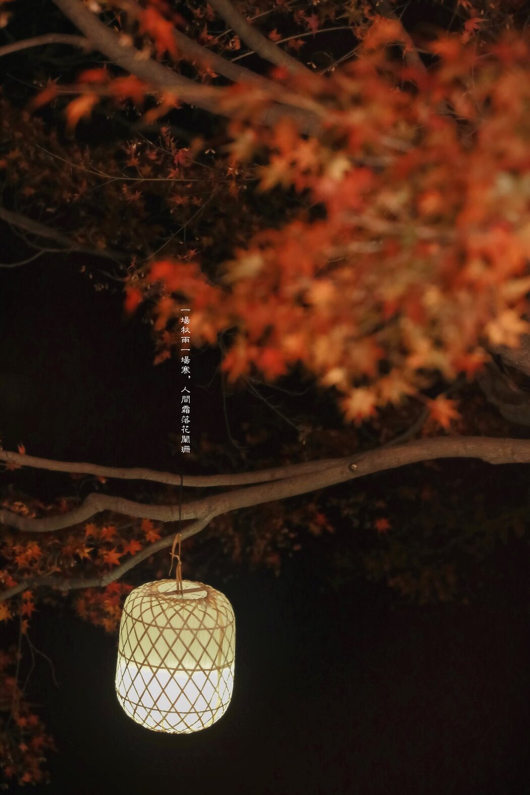 YiTuYu艺图语 Vol.2813 Jia Lian Yu Yu