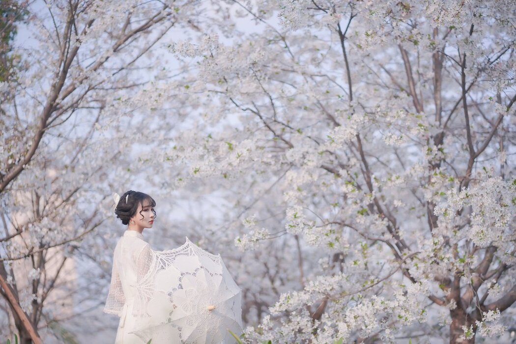 YiTuYu艺图语 Vol.2901 Qi Luo Sheng De Xiao Su Su
