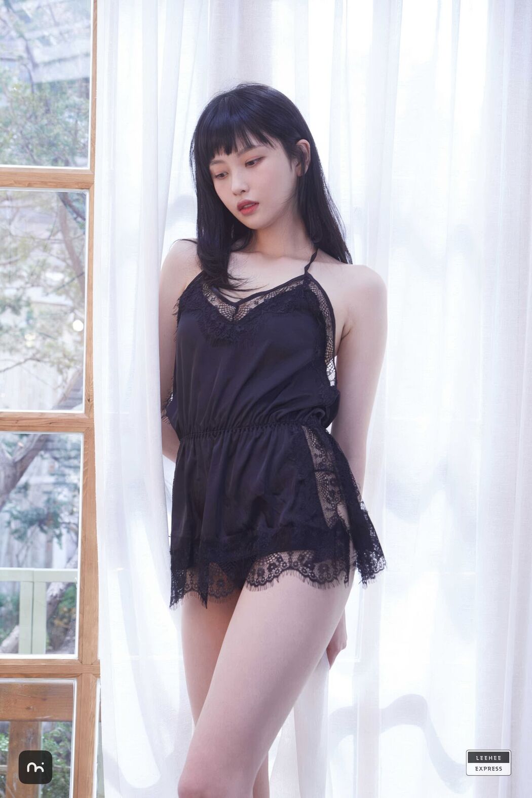 LE GMS-003A GMS