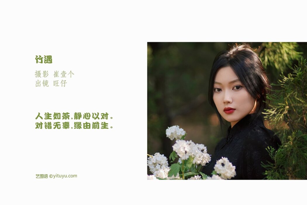 YiTuYu艺图语 Vol.2994 Wang Zi