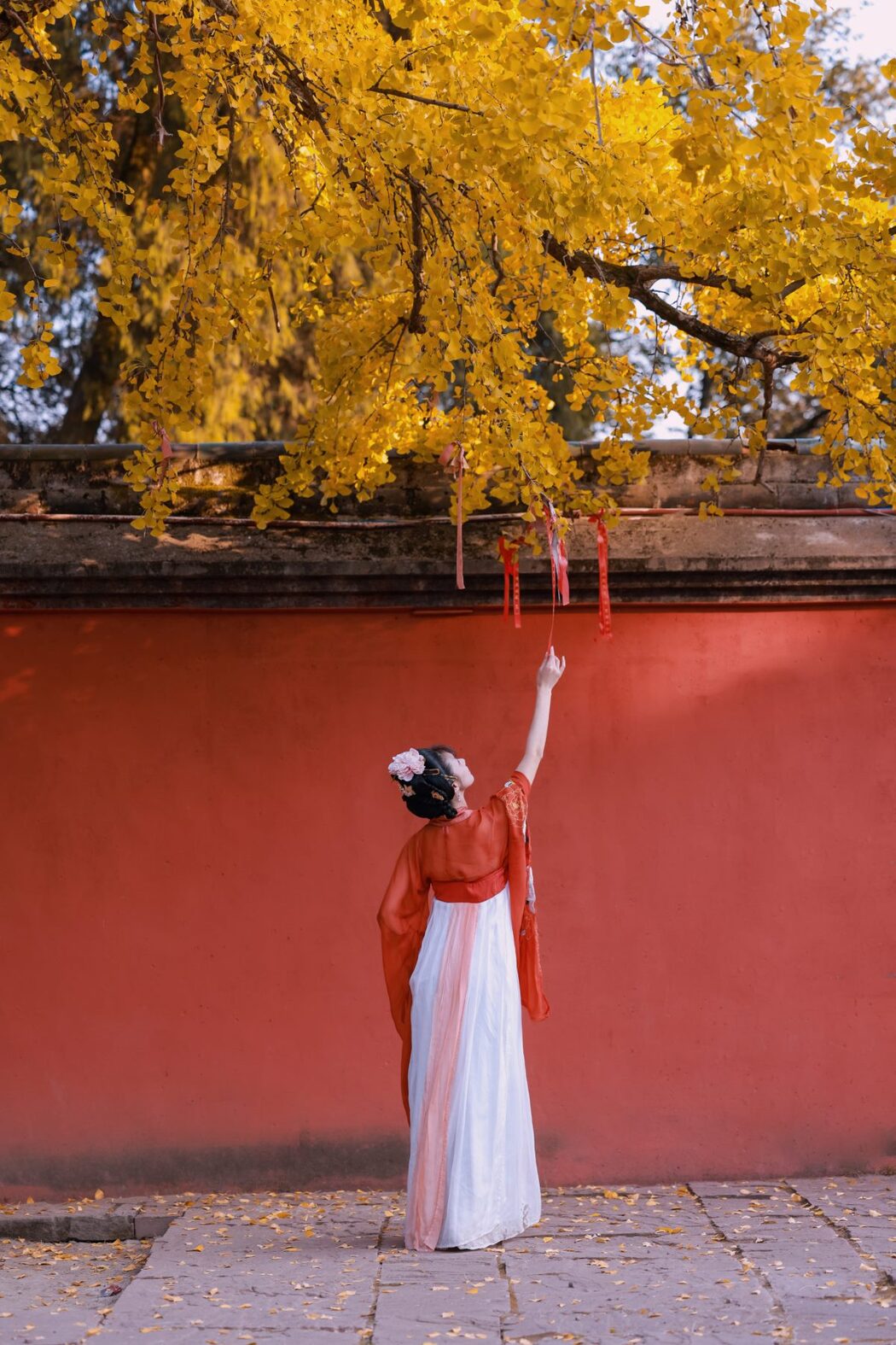 YiTuYu艺图语 Vol.3105 Mu Jing Shu