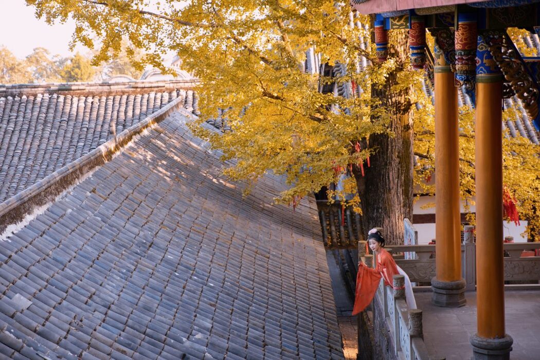 YiTuYu艺图语 Vol.3105 Mu Jing Shu