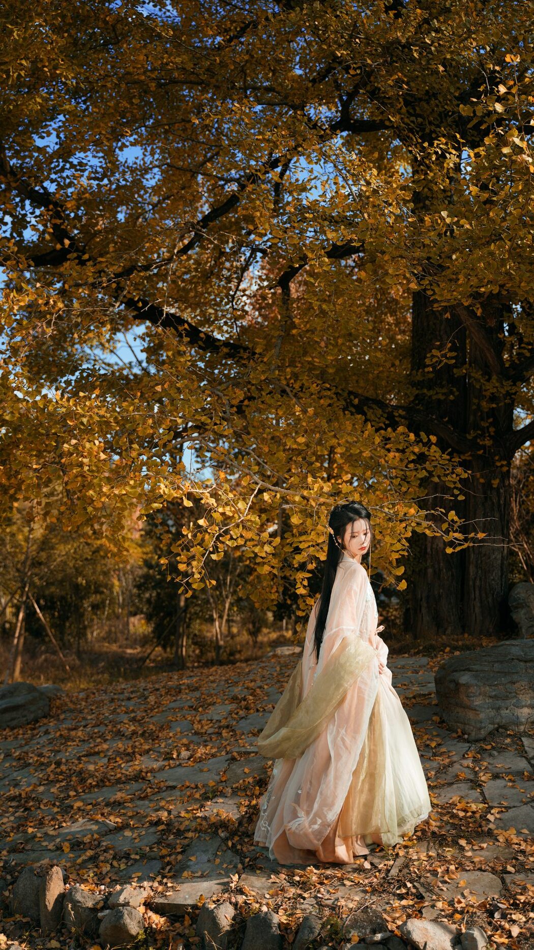 YiTuYu艺图语 Vol.3202 Wang Wang Xiao Xiao Shu