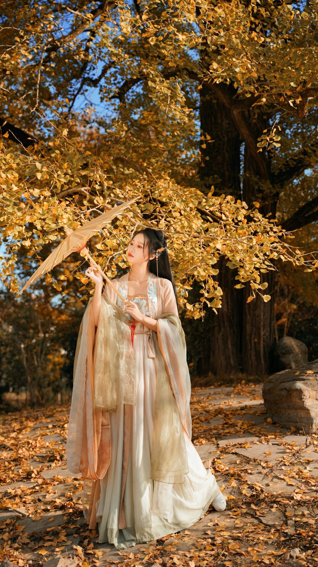 YiTuYu艺图语 Vol.3202 Wang Wang Xiao Xiao Shu