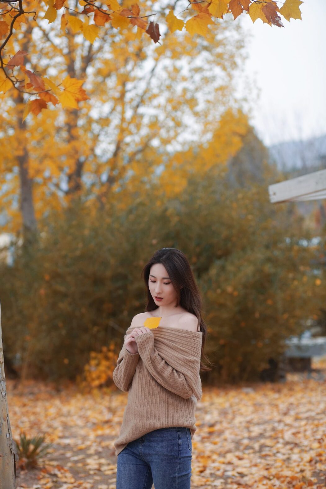 YiTuYu艺图语 Vol.3184 A Yin
