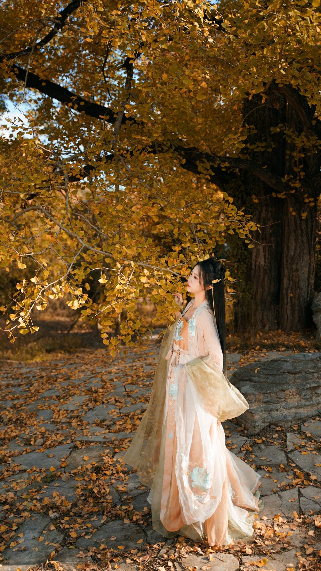 YiTuYu艺图语 Vol.3202 Wang Wang Xiao Xiao Shu
