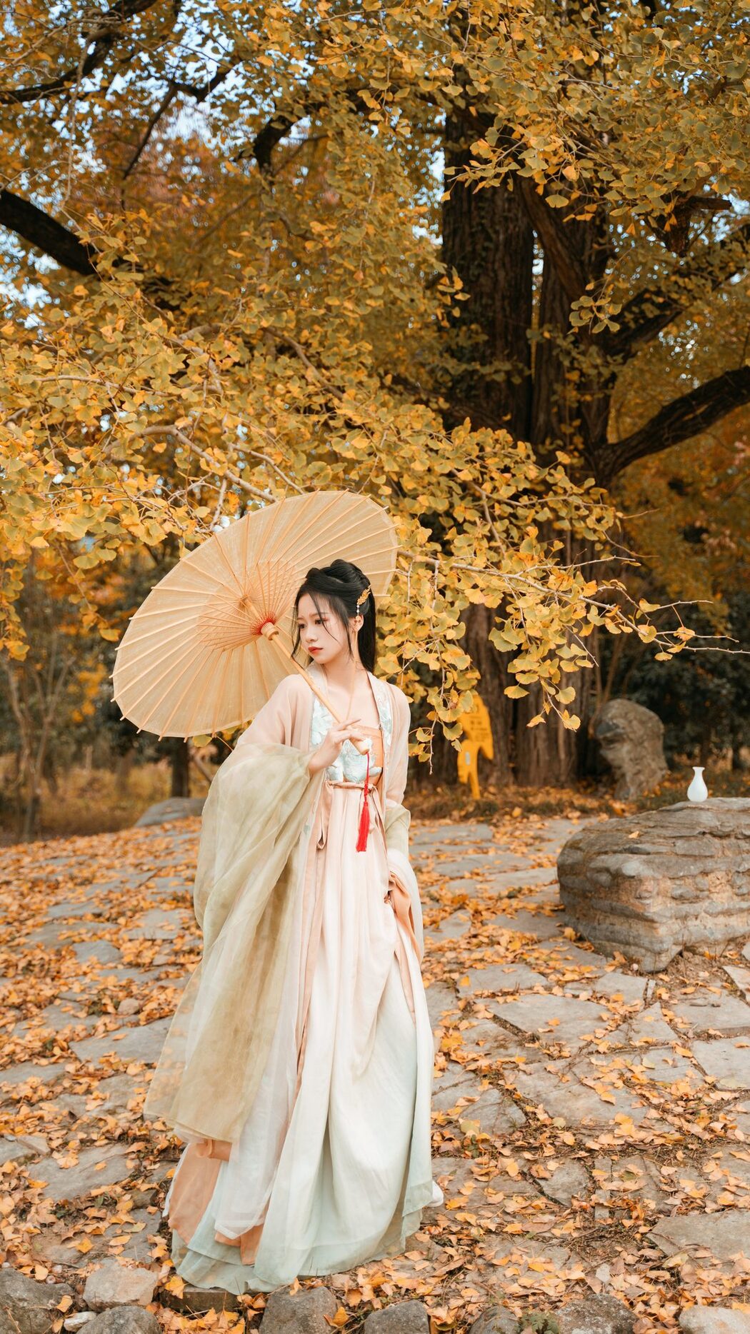 YiTuYu艺图语 Vol.3202 Wang Wang Xiao Xiao Shu
