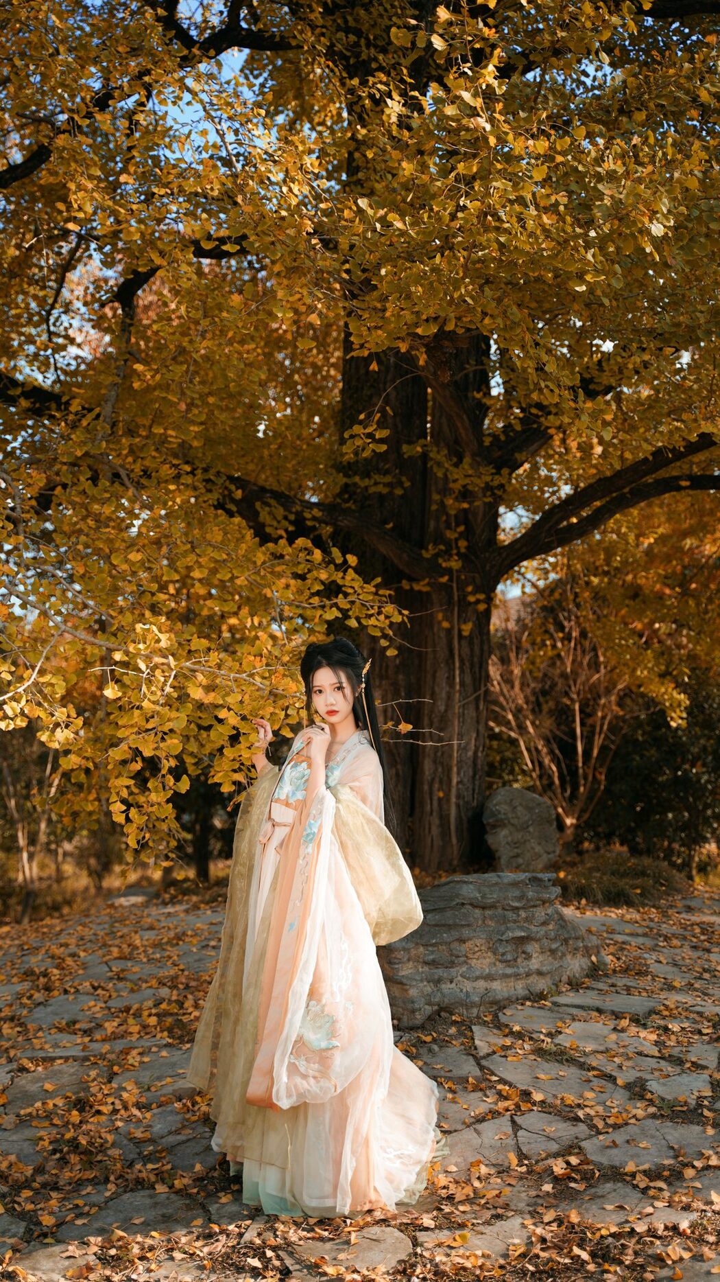 YiTuYu艺图语 Vol.3202 Wang Wang Xiao Xiao Shu