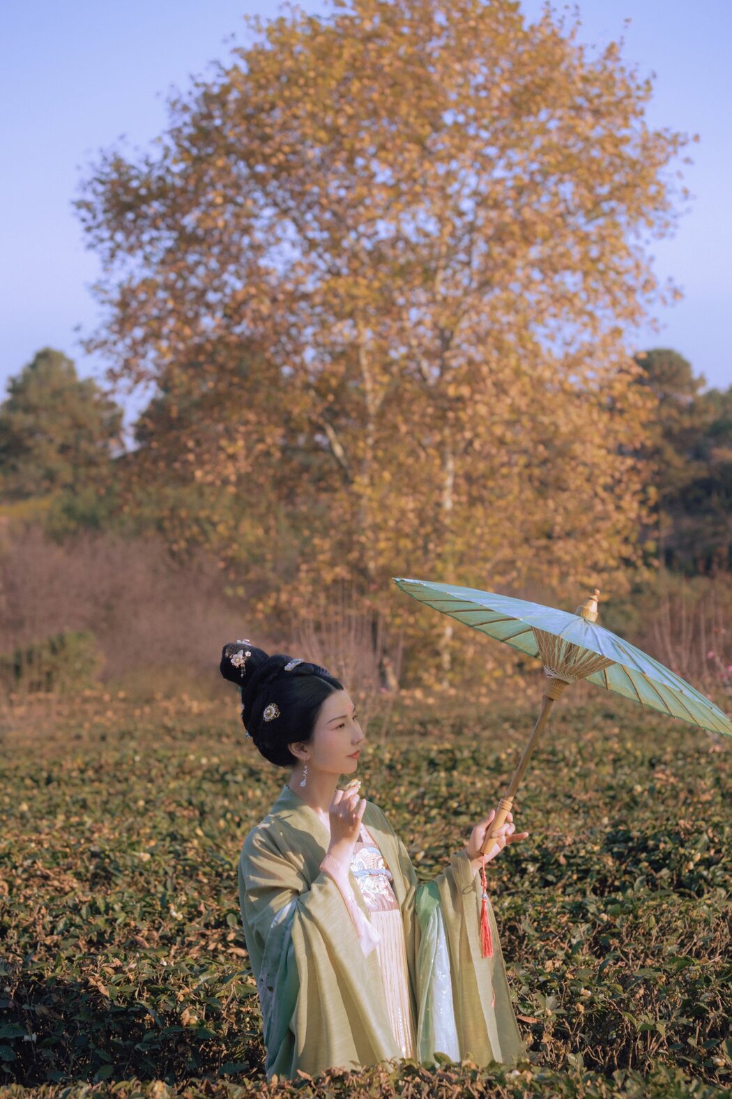 YiTuYu艺图语 Vol.323 Chang Xiao You