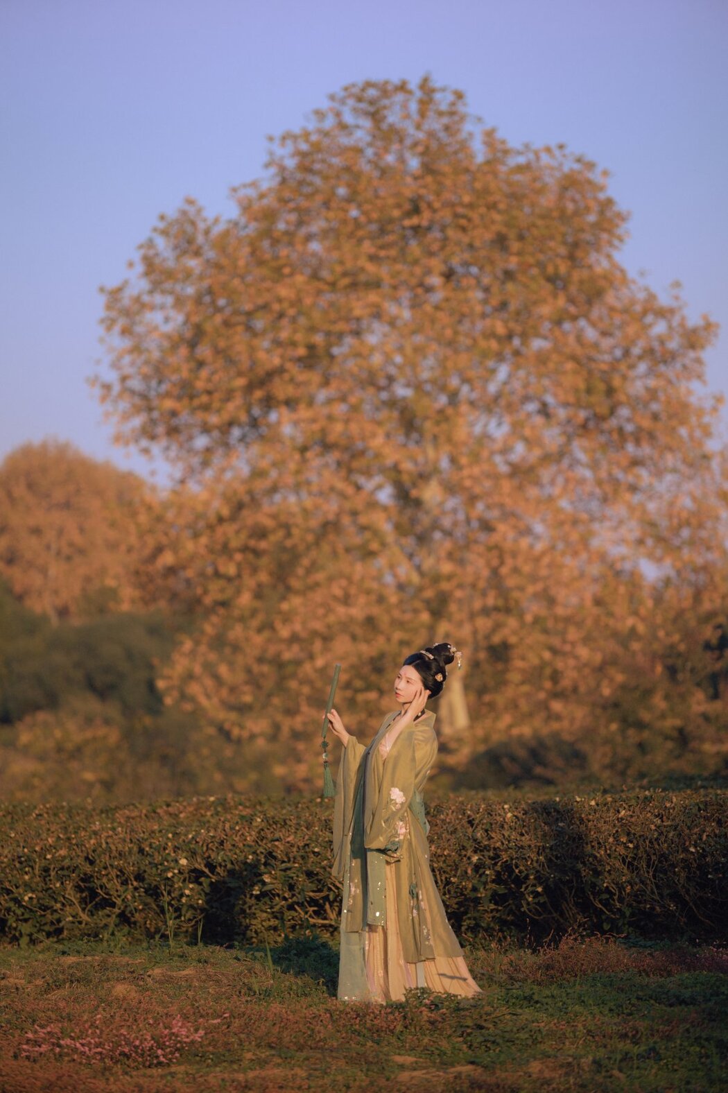 YiTuYu艺图语 Vol.323 Chang Xiao You