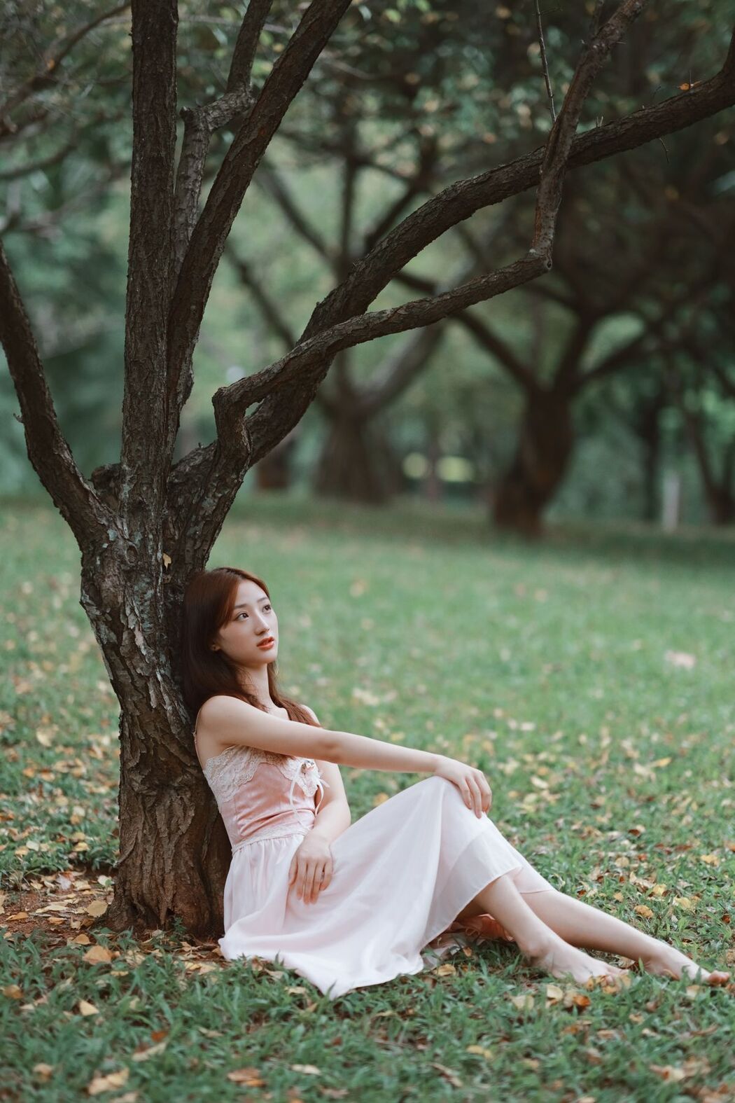 YiTuYu艺图语 Vol.3250 Jiao Tang