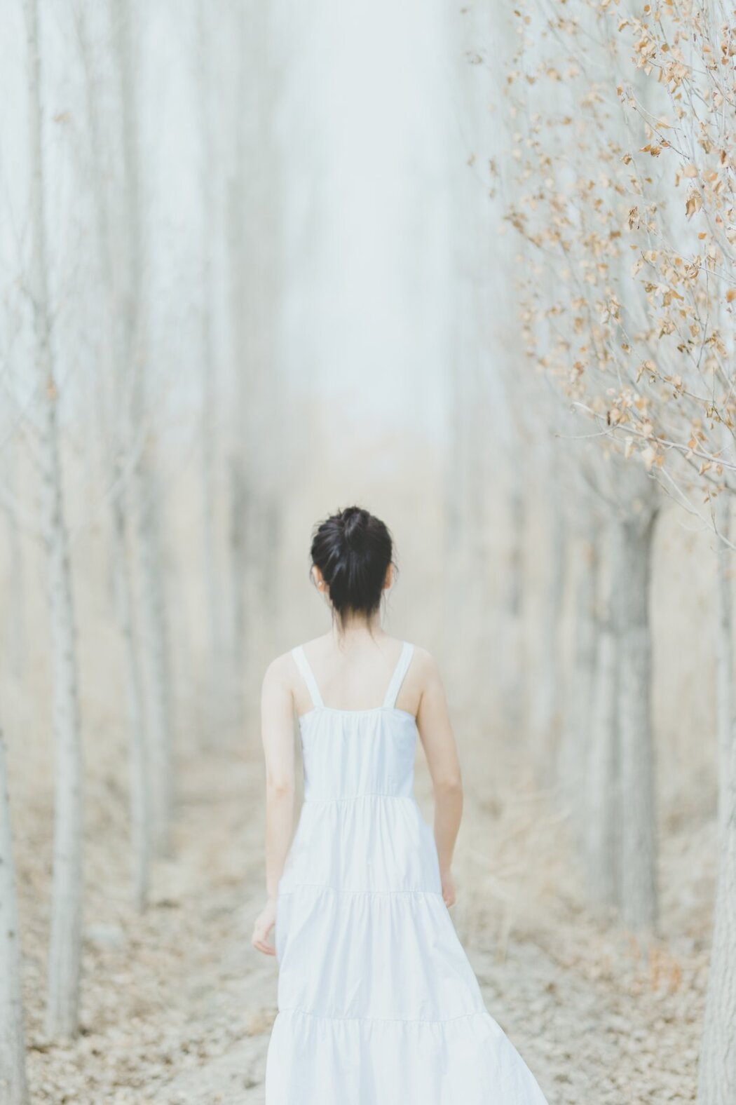 YiTuYu艺图语 Vol.345 Ying Xia