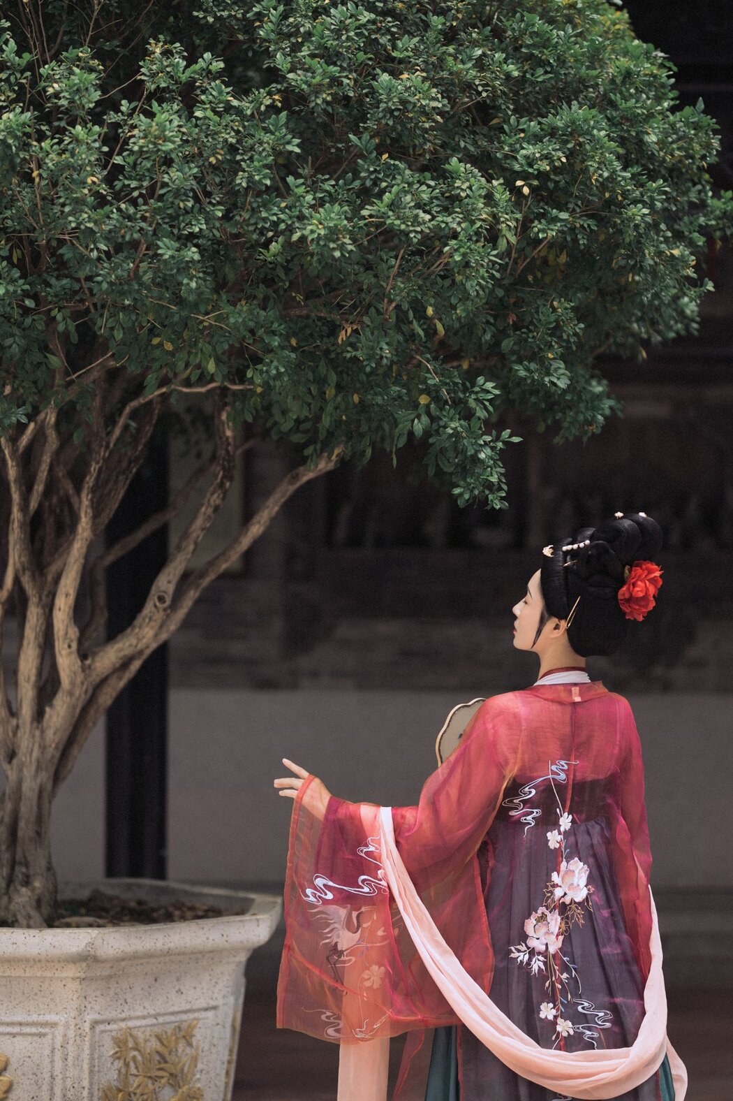 YiTuYu艺图语 Vol.340 Rui Xue
